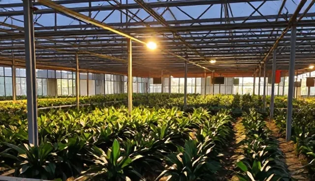 短视频拍摄设备选型与使用维护的行动指南